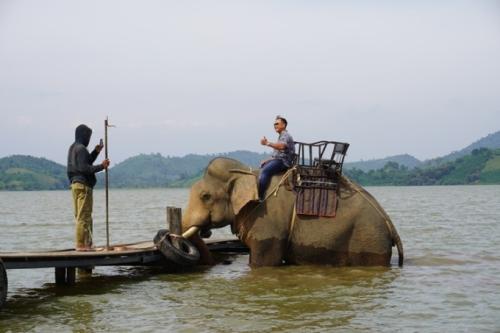 Stop Elephant riding services in Dak Lak province