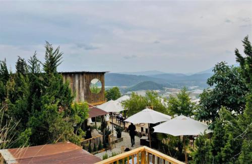 Tourists experience the difference in Da Lat after the distance
