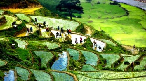 Top things to do in Sapa