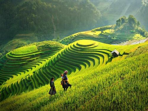 Best Month to Visit Sapa: When to Plan Your Perfect Trip