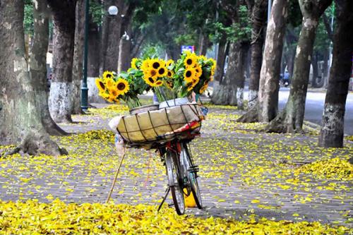 Best places for your Vietnam tour in October