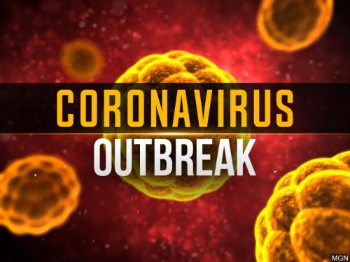A guide for travelers on Corona virus (COVID-19) in Vietnam