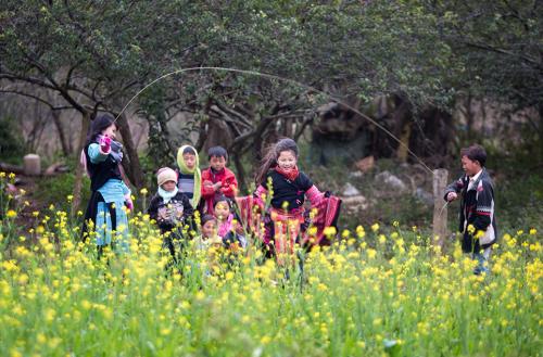 Moc Chau, seasonal flowers!
