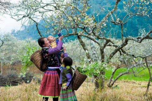 The best time to have a beautiful Vietnam trip like heaven
