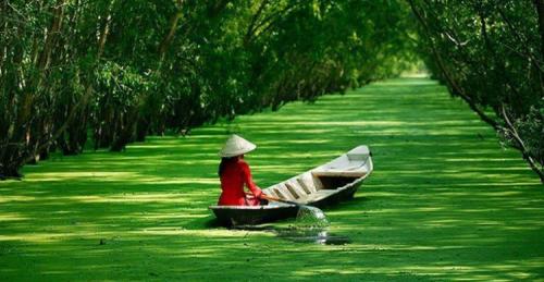 Best things to do in Mekong Delta