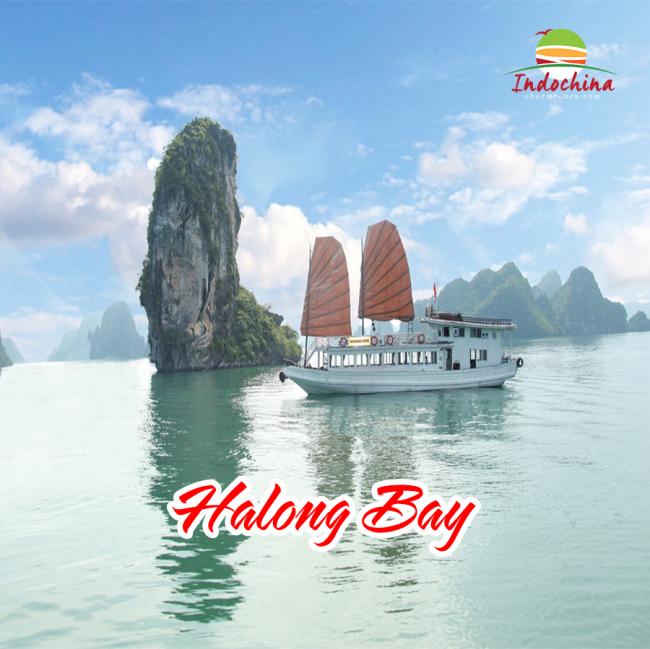 BUY 3 GET 1 FREE 4DAYS HANOI- HA LONG BAY 